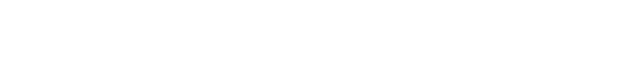 Drone Services logo